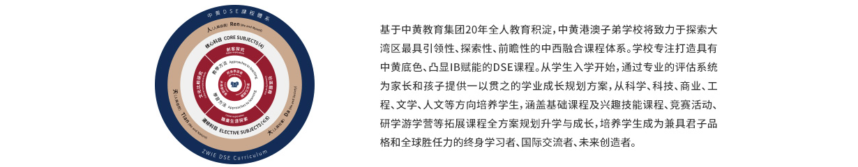DSE